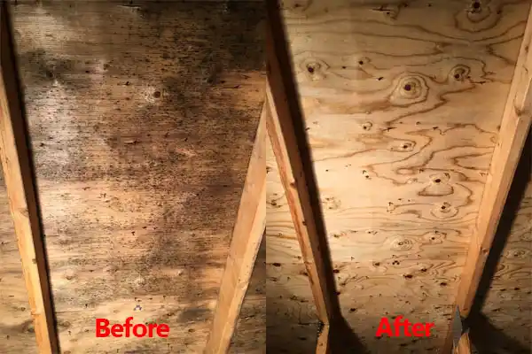 water damage restoration service Le Sueur